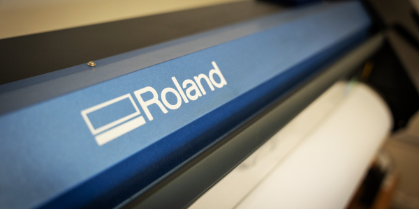 SOSSE_10.02.26 (6 di 63)